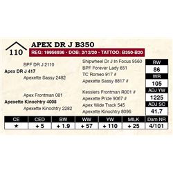 Apex DR J B350