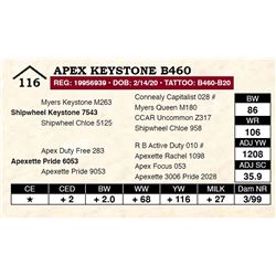 Apex Keystone B460