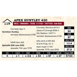 Apex Huntley 430