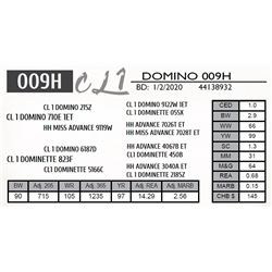 CL 1 DOMINO 009H