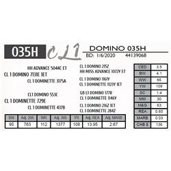 CL 1 DOMINO 035H