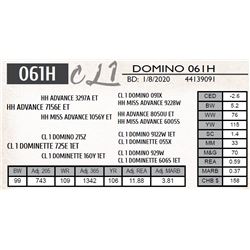 CL 1 DOMINO 061H