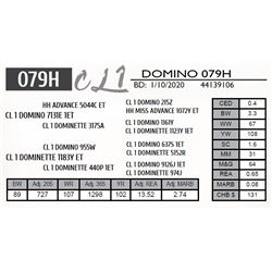 CL 1 DOMINO 079H