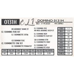CL 1 DOMINO 0131H