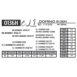 CL 1 DOMINO 0136H