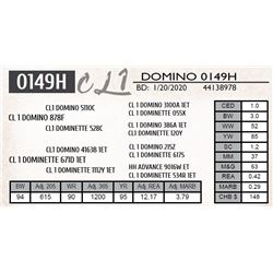 CL 1 DOMINO 0149H