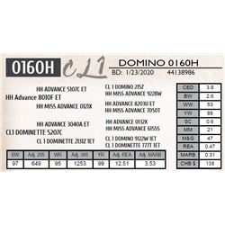 CL 1 DOMINO 0160H