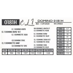 CL 1 DOMINO 0181H