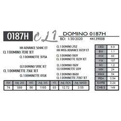 CL 1 DOMINO 0187H