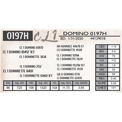 CL 1 DOMINO 0197H