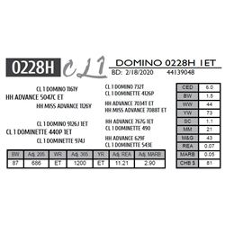 CL 1 DOMINO 0228H 1ET