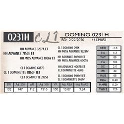 CL 1 DOMINO 0231H