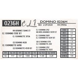 CL 1 DOMINO 0236H