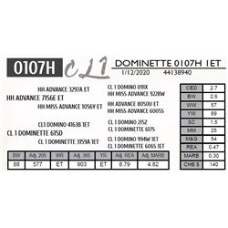 DOMINETTE 0107H 1ET