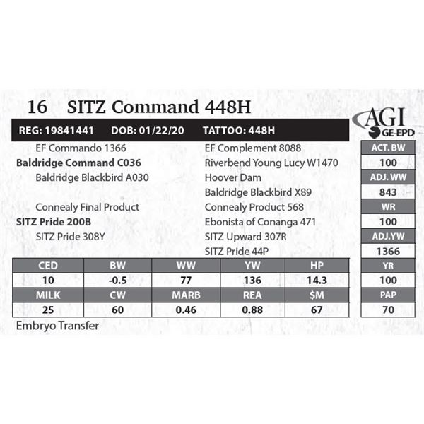 SITZ Command 448H