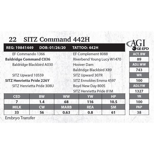 SITZ Command 442H