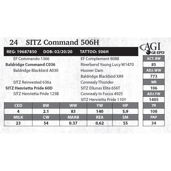 SITZ Command 506H