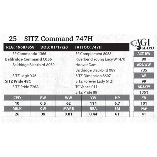 Sitz Command 747H