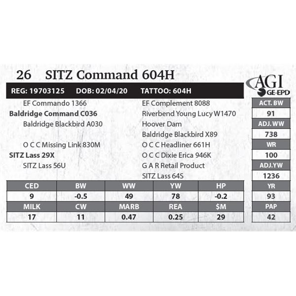 Sitz Command 604H
