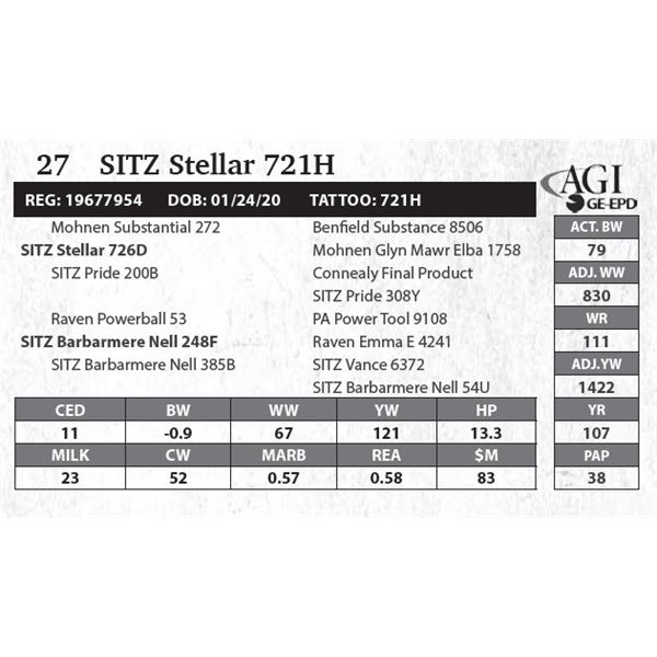 SITZ Stellar 721H