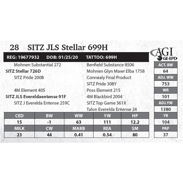 SITZ JLS Stellar 699H