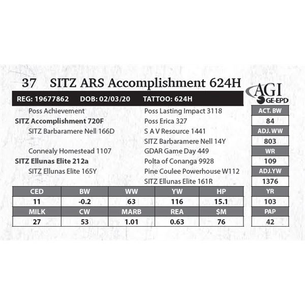 SITZ ARS Accomplishment 624H