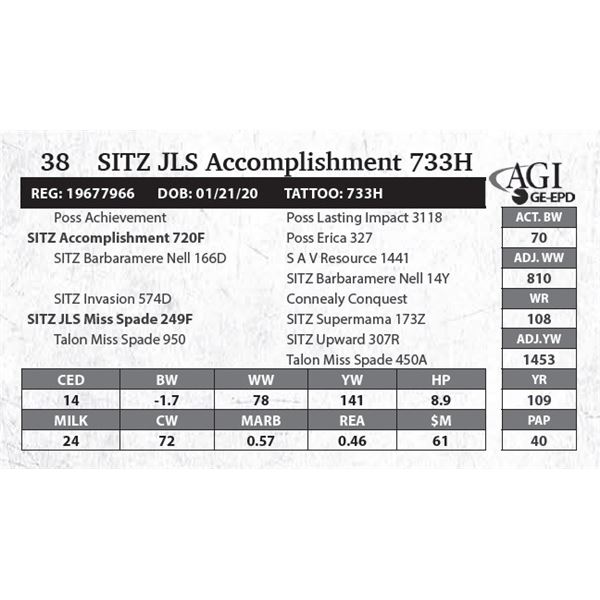 SITZ JLS Accomplishment 733H