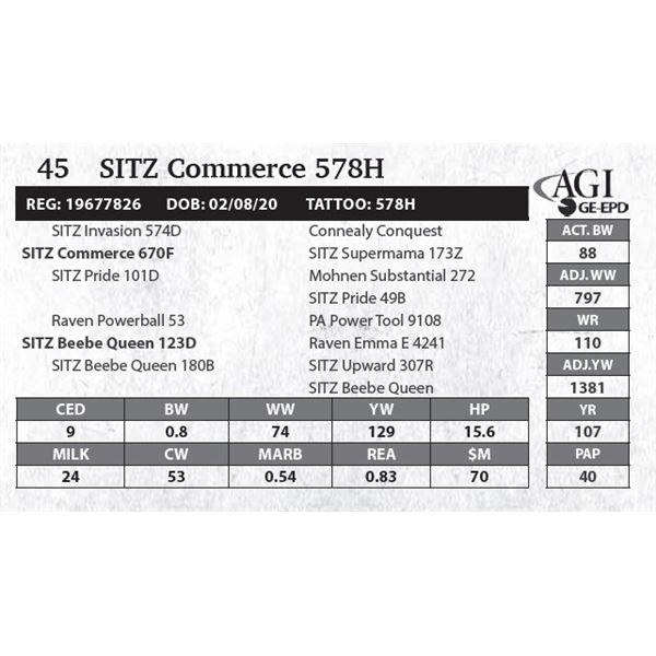 SITZ Commerce 578H