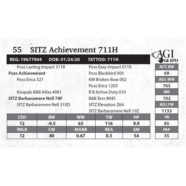 SITZ Achievement 711H