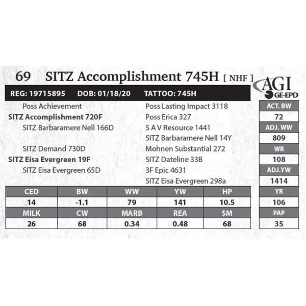 SITZ Accomplishment 745H