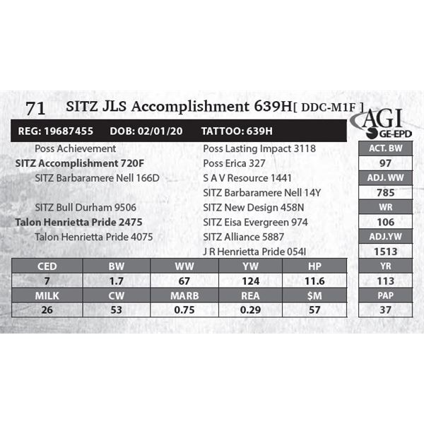 SITZ JLS Accomplishment 639H