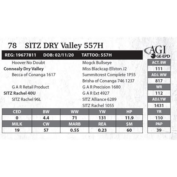 SITZ Dry Valley 557H