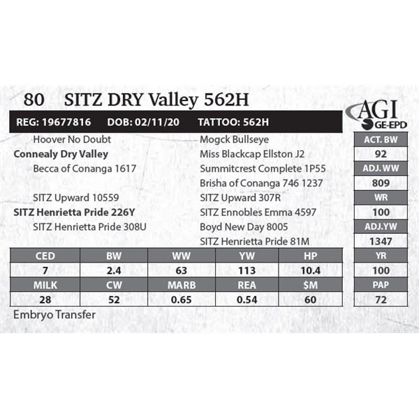 SITZ Dry Valley 562H