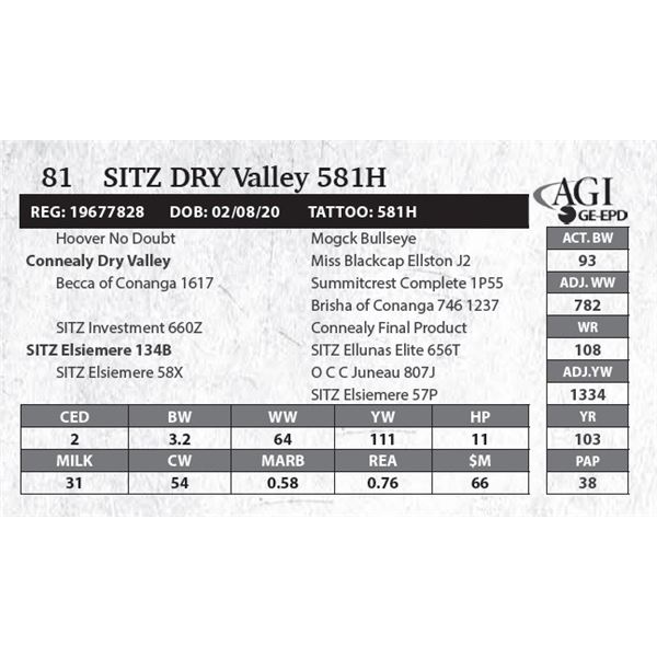 Sitz DRY Valley 581H