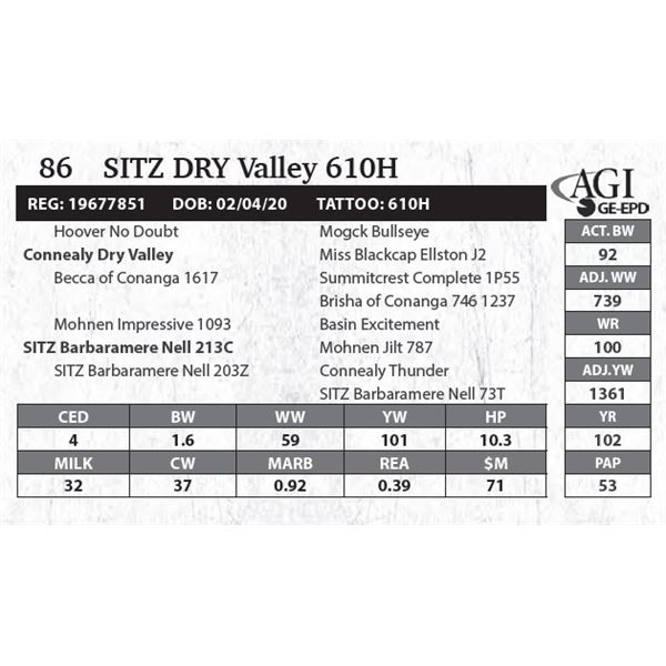 Sitz DRY Valley 610H