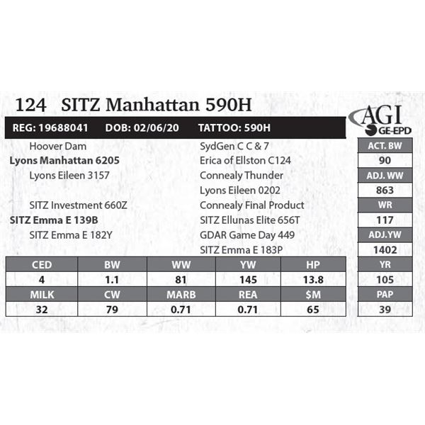 Sitz Manhattan 590H