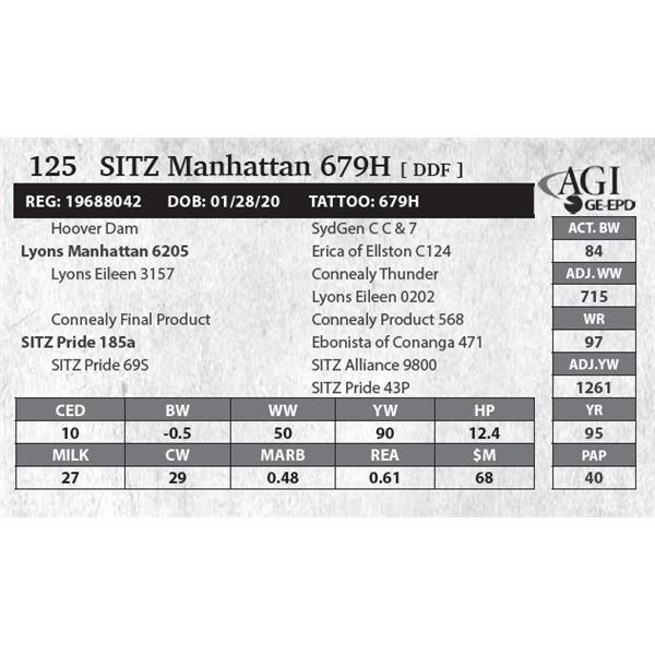 Sitz Manhattan 679H
