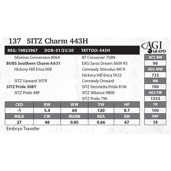 SITZ Charm 443H
