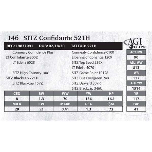 Sitz Confidante 521H