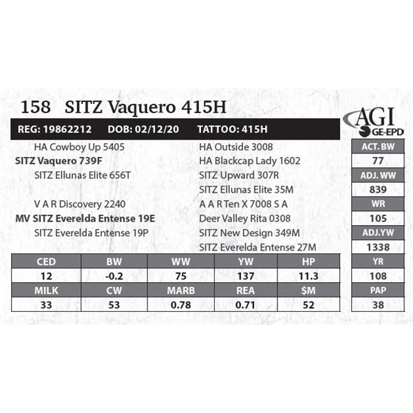 Sitz Vaquero 415H
