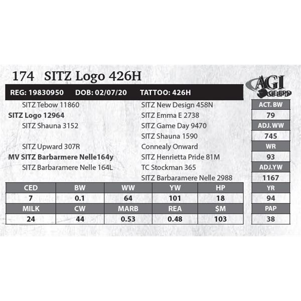 Sitz Logo 426H