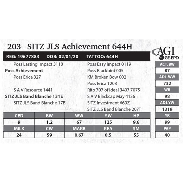 SITZ JLS Achievement 644H