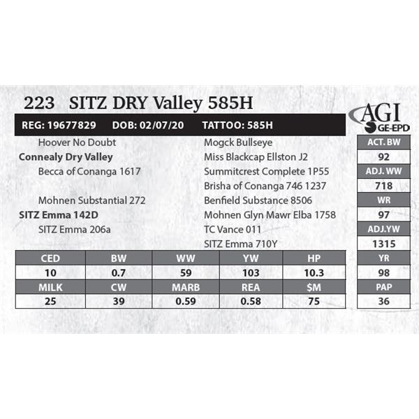 Sitz DRY Valley 585H