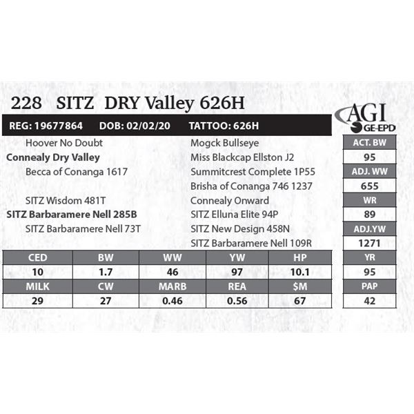 Sitz  DRY Valley 626H