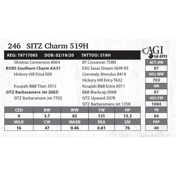 SITZ Charm 519H