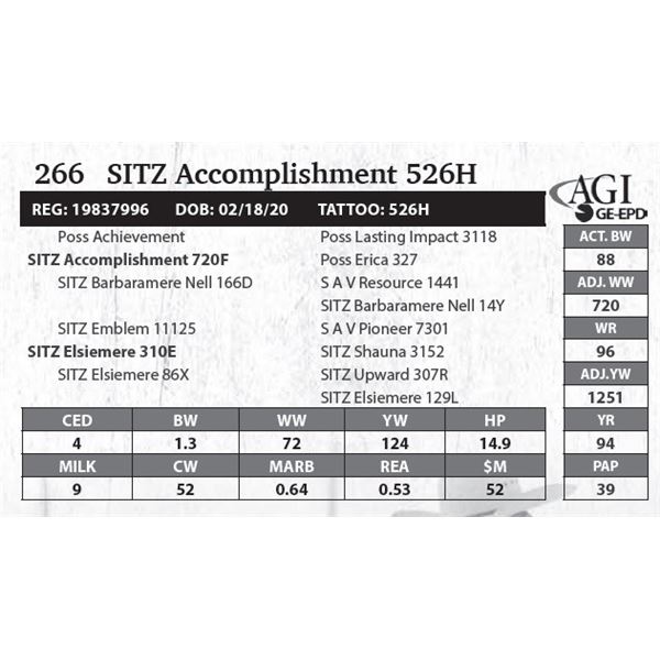 Sitz Accomplishment 526H