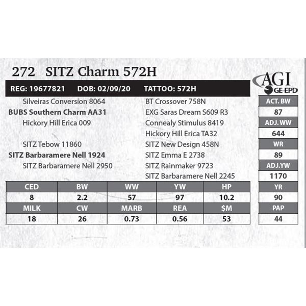 SITZ Charm 572H