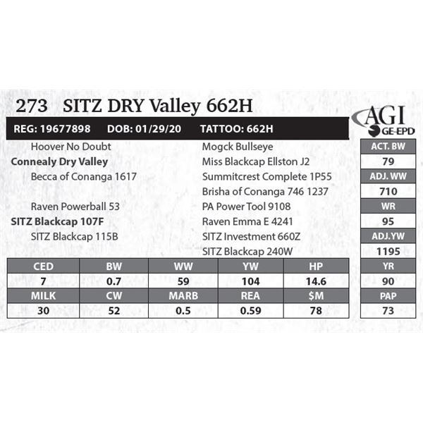 Sitz DRY Valley 662H
