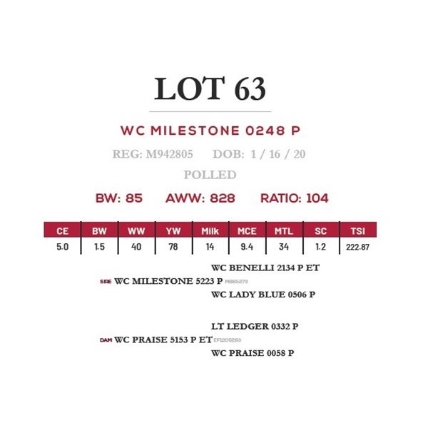 WC MILESTONE 0248 P