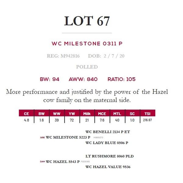 WC MILESTONE 0311 P